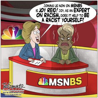 2-06-24-JOY-REID-CARTOON_©SCHOWALTER