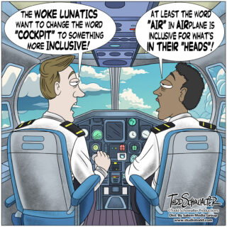 COCKPIT CARTOON_(©SCHOWALTER)