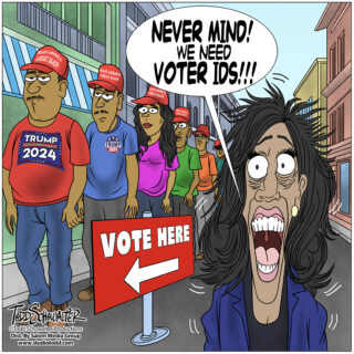 NEED VOTER IDS CARTOON_(©SCHOWALTER)