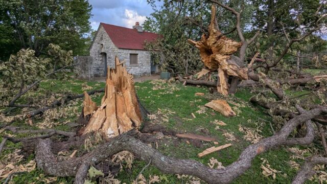 forest park bathroom tree damage-may 20th