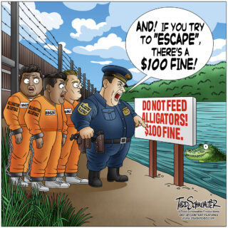 FEED ALLIGATORS_CARTOON(©SCHOWALTER)