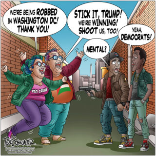ROBBED IN DC_CARTOON(©SCHOWALTER)