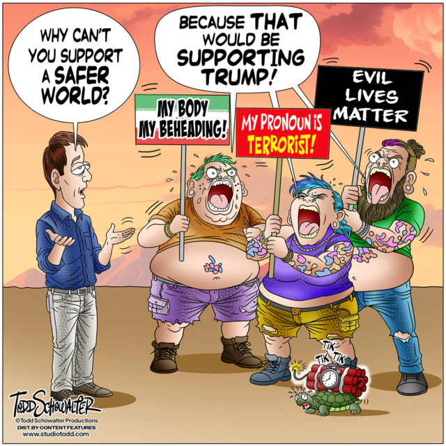 SAFER WORLD_CARTOON(©SCHOWALTER)