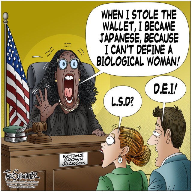 LSD DEI_CARTOON(©SCHOWALTER)