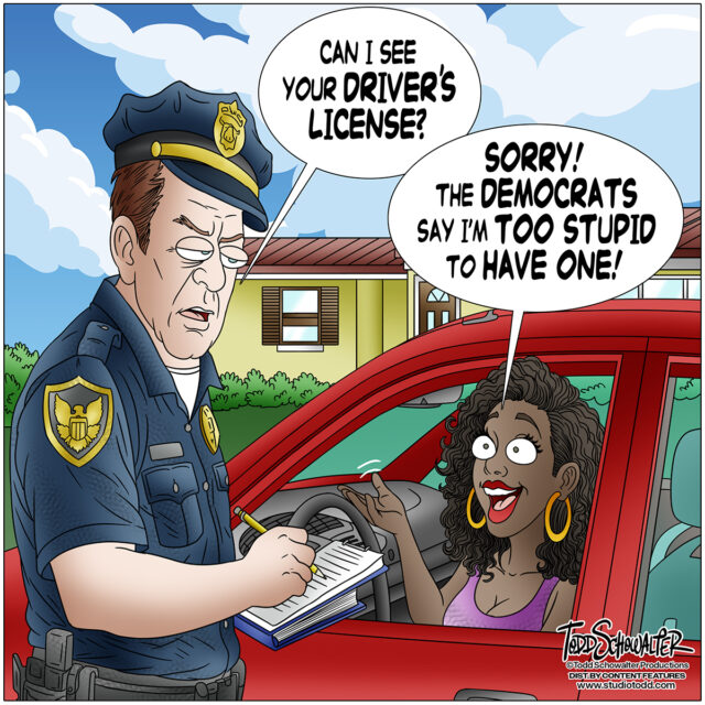 TOO STUPID ID_CARTOON(©SCHOWALTER)