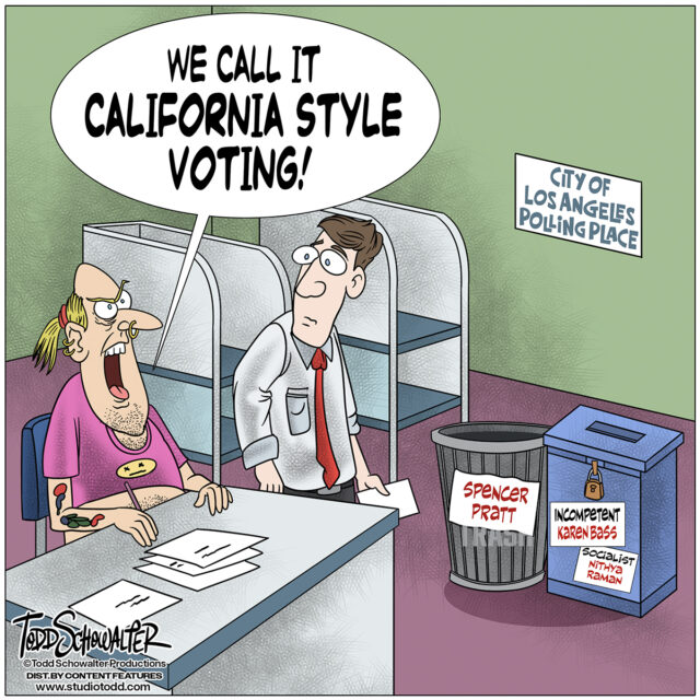 CALIFORNIA VOTING_CARTOON(©SCHOWALTER)