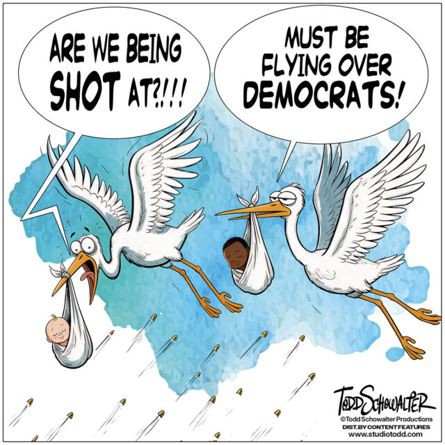 STORK_CARTOON(©SCHOWALTER)