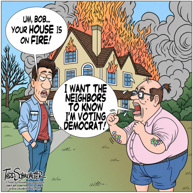 VOTING DEMOCRAT_CARTOON(©SCHOWALTER)